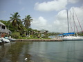 Photo 198