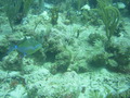 Photo 51