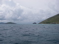 Photo 201