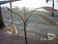 Photo 426