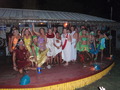 Photo 217