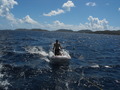 Photo 49