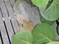Photo 218
