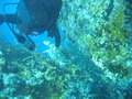 Photo 198