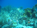 Photo 200