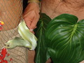 Photo 201