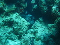 Photo 107