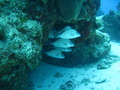 Photo 200