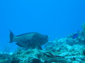 Photo 200