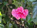 Photo 200