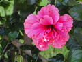 Photo 201