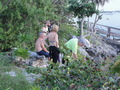 Photo 220