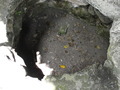 Photo 410