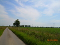 Photo 198