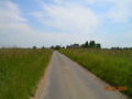 Photo 199