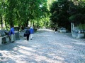 Photo 34