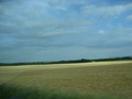 Photo 196