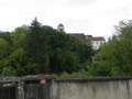 Photo 262