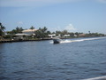 Photo 199