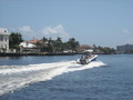 Photo 201
