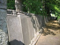 Photo 100