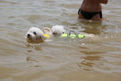 Photo 38