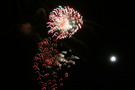 Photo 201