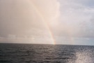 Photo 51