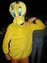Photo 111