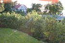Photo 269