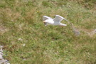 Photo 423