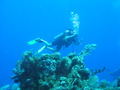 Photo 200