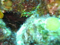 Photo 201