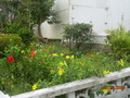 Photo 56