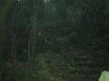 Photo 50
