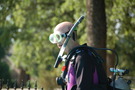 Photo 44