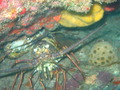 Photo 35