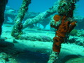 Photo 46