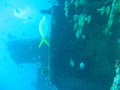 Photo 49